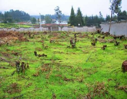 Terreno Salle Independiente