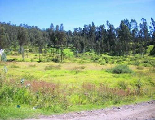 Terreno sector de La Armenia 2