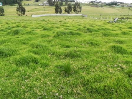 Venta de terreno Industrial, Alto Impacto, en Guamaní, 51780m2, COS Planta Baja 75%