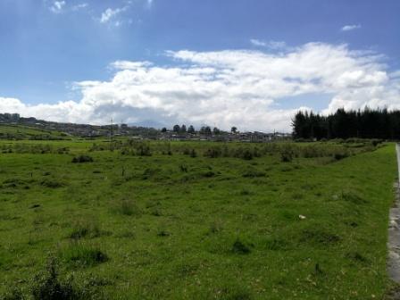 Venta de terreno Industrial, Alto Impacto, en Guamaní, 10625m2, COS Planta Baja 75%