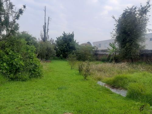 SAN JOSE DEL VALLE, Terreno 1000m2, cerramiento, todos los servicios, frutales