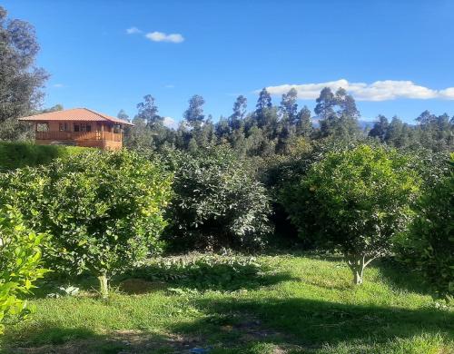 CHILLOS, Terreno 7200m2, con frutales, con frente a la vía, luz y agua