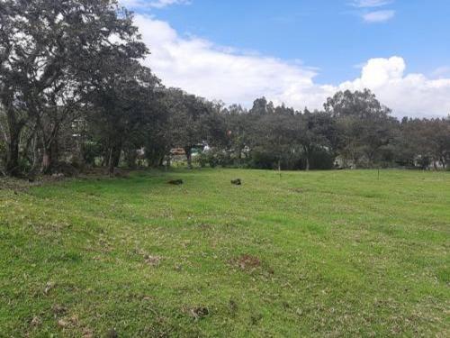 OPORTUNIDAD, Terreno en venta, en Cotogchoa, 4110m2, plano, todos los servicios