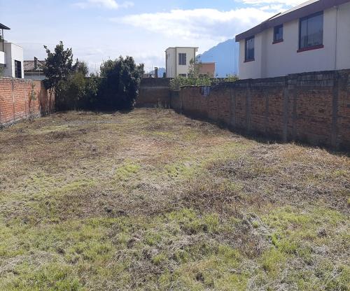 CONOCOTO, SAN JOSE DEL VALLE, Terreno 1010m2, frutales, todos los servicios, frente 20 metros