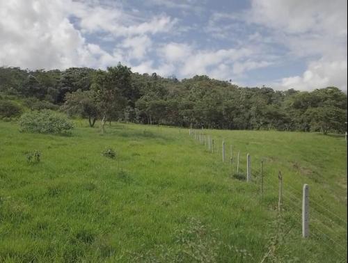 En TULIPE, vendo lotes de terreno para quintas vacacionales, entre 1300 y 2231m2